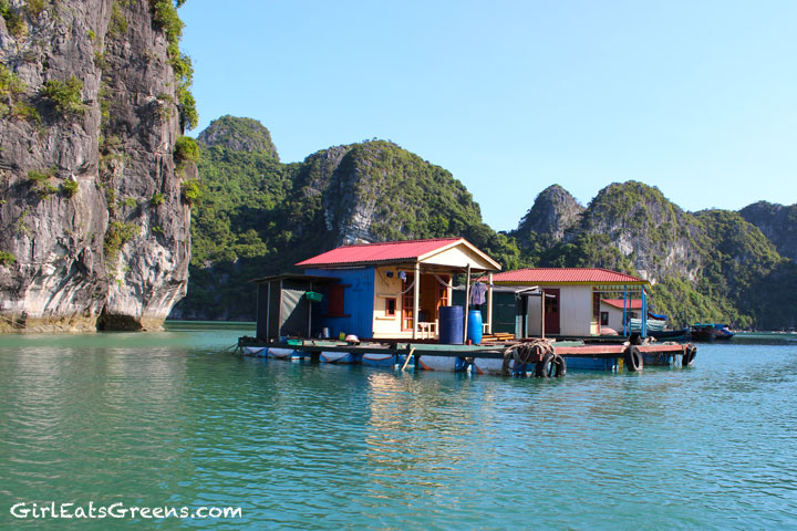 Halong-Bay-4