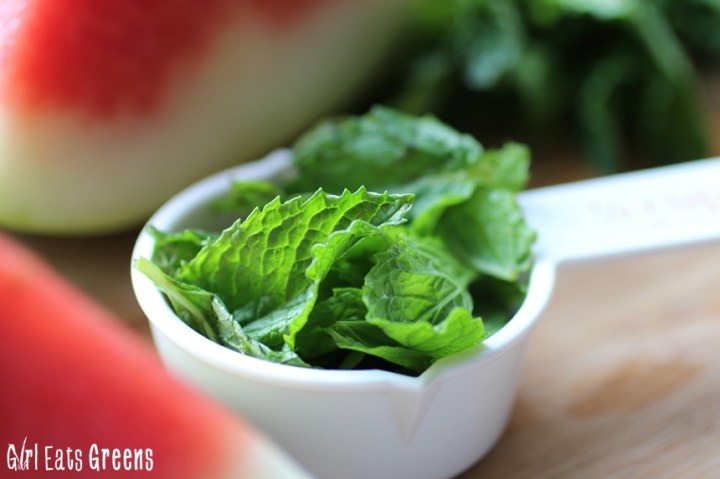 Refreshing Watermelon Slushie Girl Eats Greens_0050