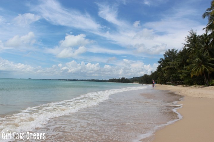 Lunch Dinner Khao Lak Thailand Vegan Girl Eats Greens_0012
