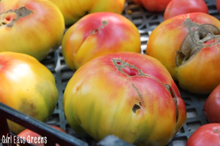 Madison Wisconsin Farmers Market Girl Eats Greens_0024