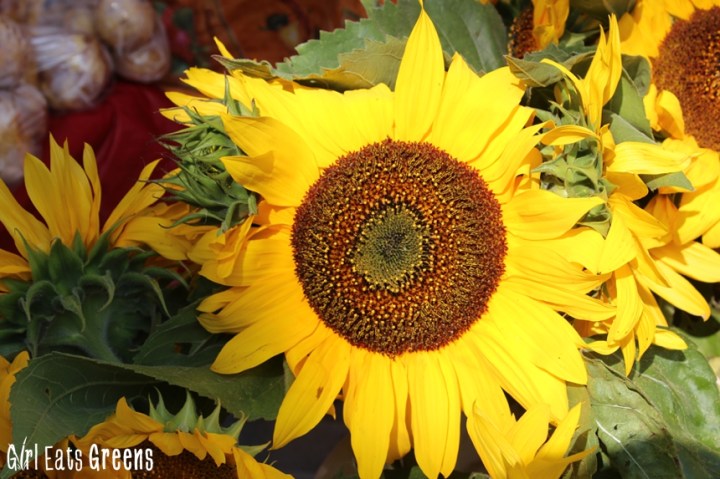 Madison Wisconsin Farmers Market Girl Eats Greens_0043