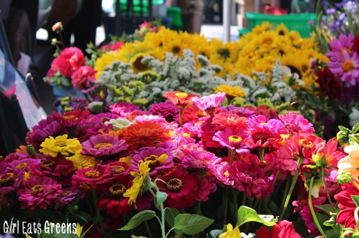 Madison Wisconsin Farmers Market Girl Eats Greens_0045