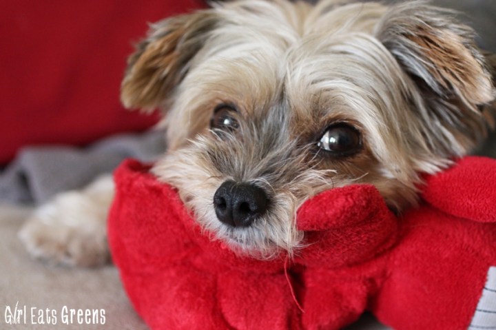 Very Berry Pancakes Raspberry Strawberry Gluten Free Vegan Girl Eats Greens_0021