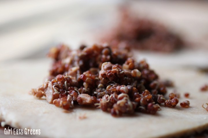 Ground Beef Empanadas Lentils Quinoa Jalapeno Lime Cilantro Dressing Vegan Girl Eats Greens_0020