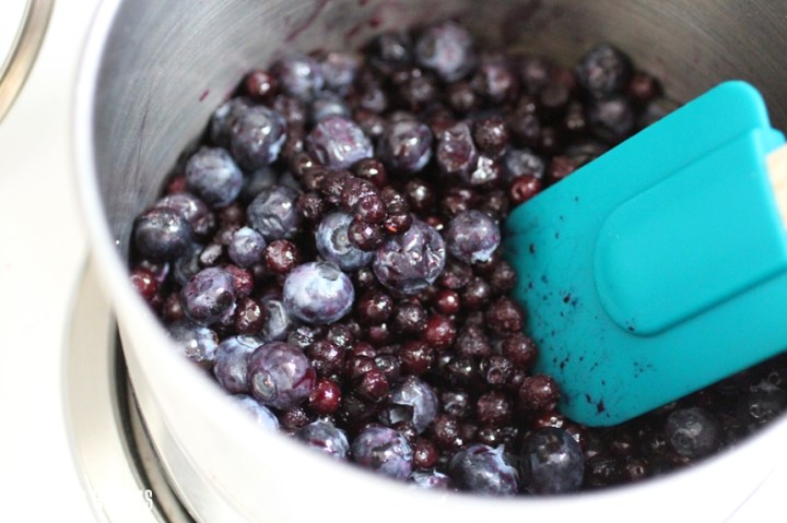 Blueberry Chia Seed Jam Low Sugar Vegan Vegetarian Girl Eats Greens_0031