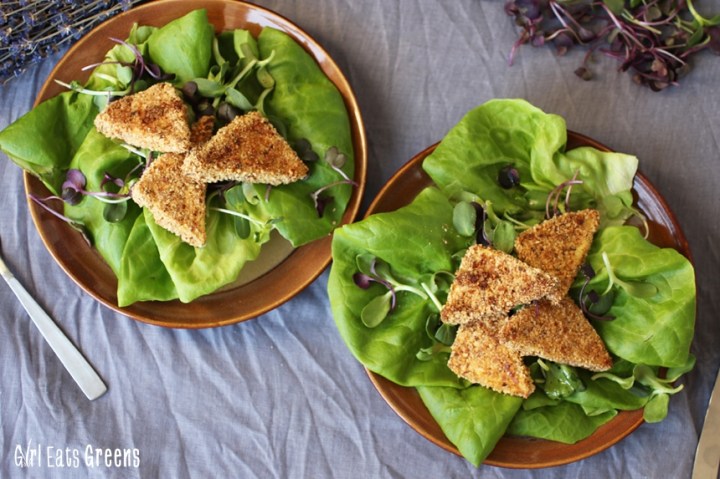 Spiced Hazelnut Crusted Tofu Gluten Free Vegan Vegetarian Girl Eats Greens_0016