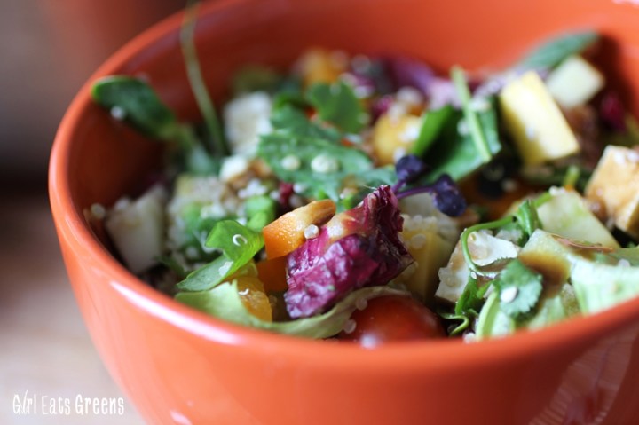 Rainbow Salad Ginger Sesame Dressing Vegan Vegetarian Gluten Free Girl Eats Greens_0015