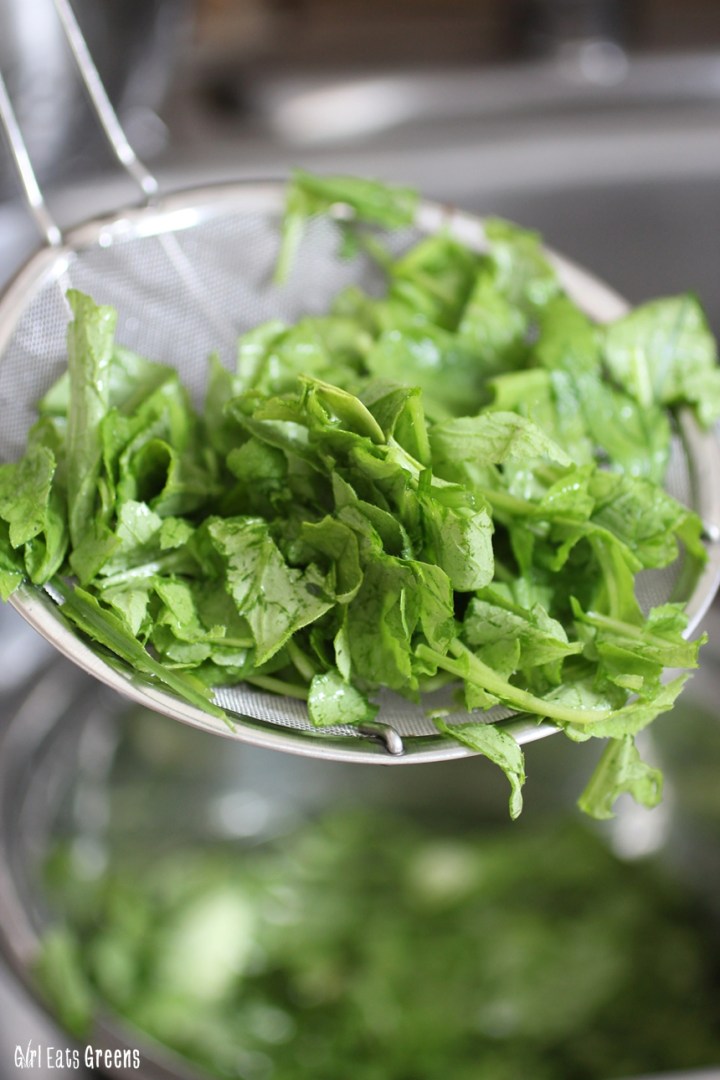 Raw Kale Radish Pesto with Zucchini Noodles Vegan Vegetarian Gluten Free Girl Eats Greens_0027